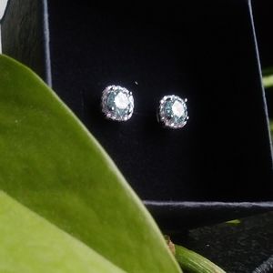 1.0ctw Blue Diamond Moissanite Earring